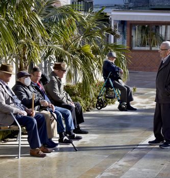 Group of senior men sitting and talking outdoors under palm trees.