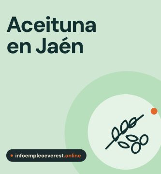 Portada de infoempleoeverest.online: aceituna en Jaén