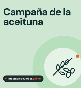 Portada de infoempleoeverest.online: campaña de la aceituna