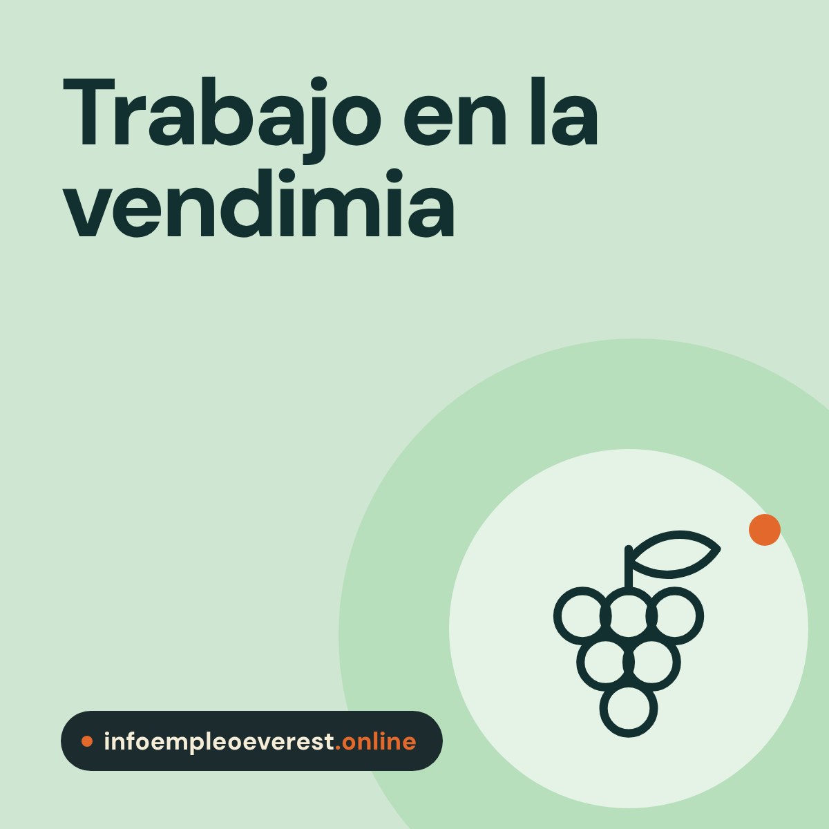 Portada de infoempleoeverest.online: trabajo en la vendimia con alojamiento