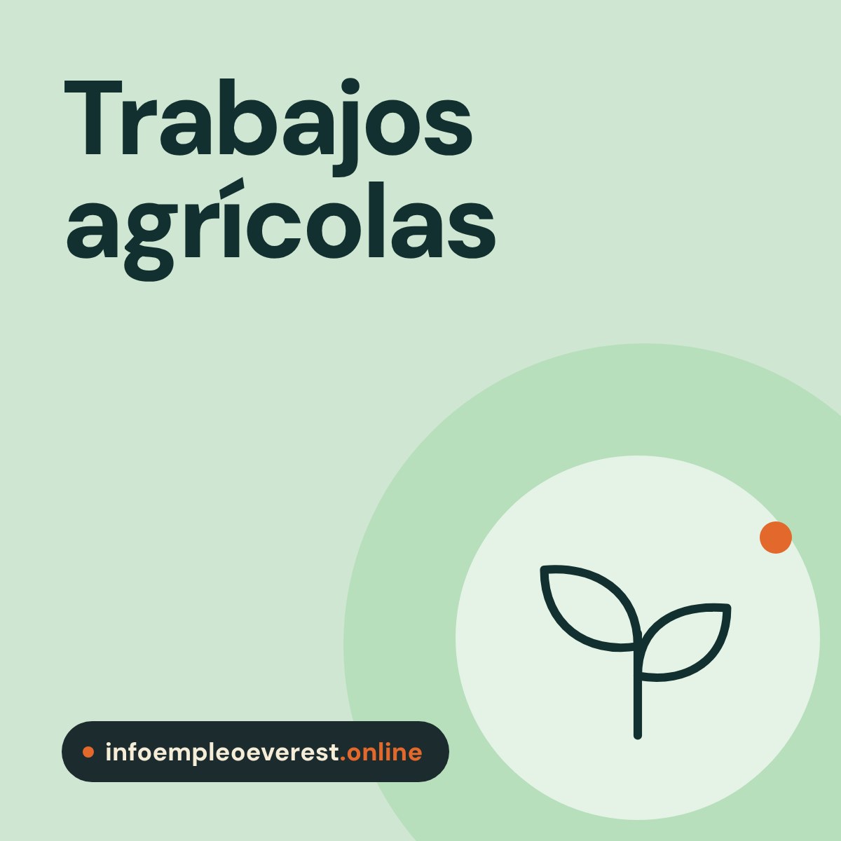 Portada de infoempleoeverest.online: trabajos agrícolas con alojamiento